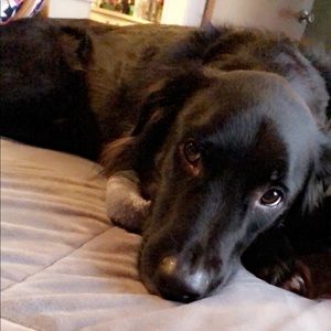 Meet your Posher, Kaitlin